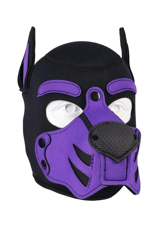 Merci Neoprene Puppy Hood - Black/Purple