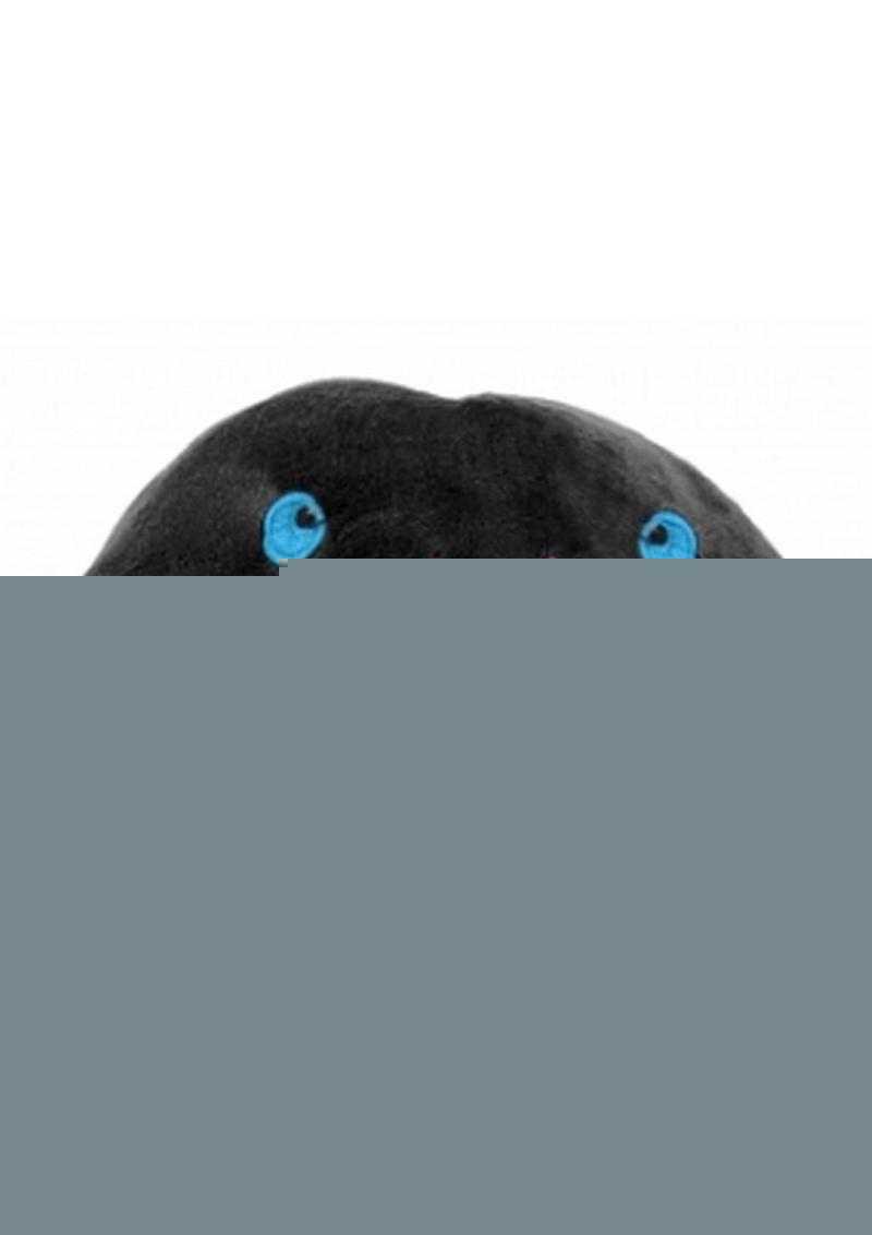 Shots Short Penis Stuffy - Black - 11.80in
