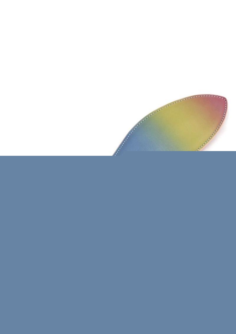 Spectra Bondage Paddle - Multicolor/Rainbow