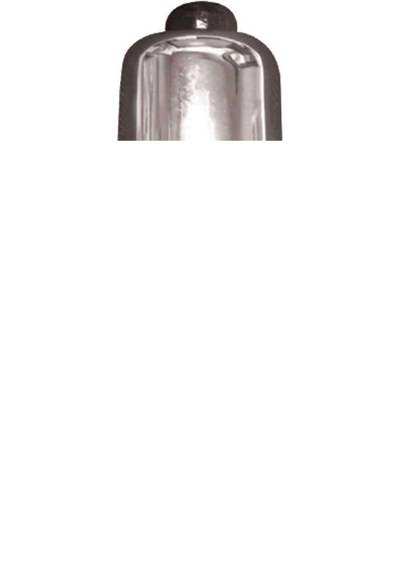 Sportsheets Mini Peanut Bullet Vibrator - Silver