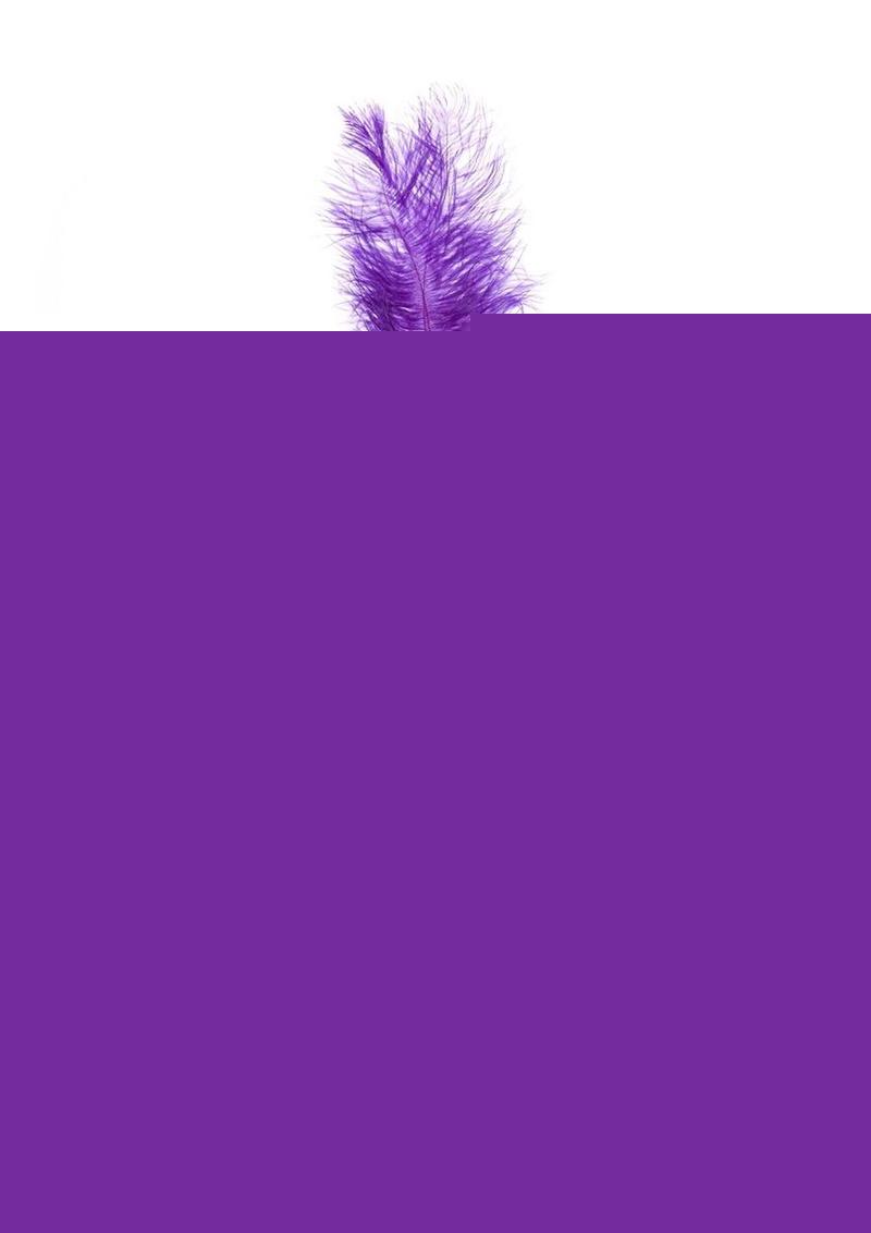 Sportsheets Ostrich Feather Tickler - Purple